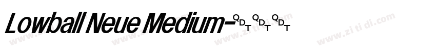 Lowball Neue Medium字体转换